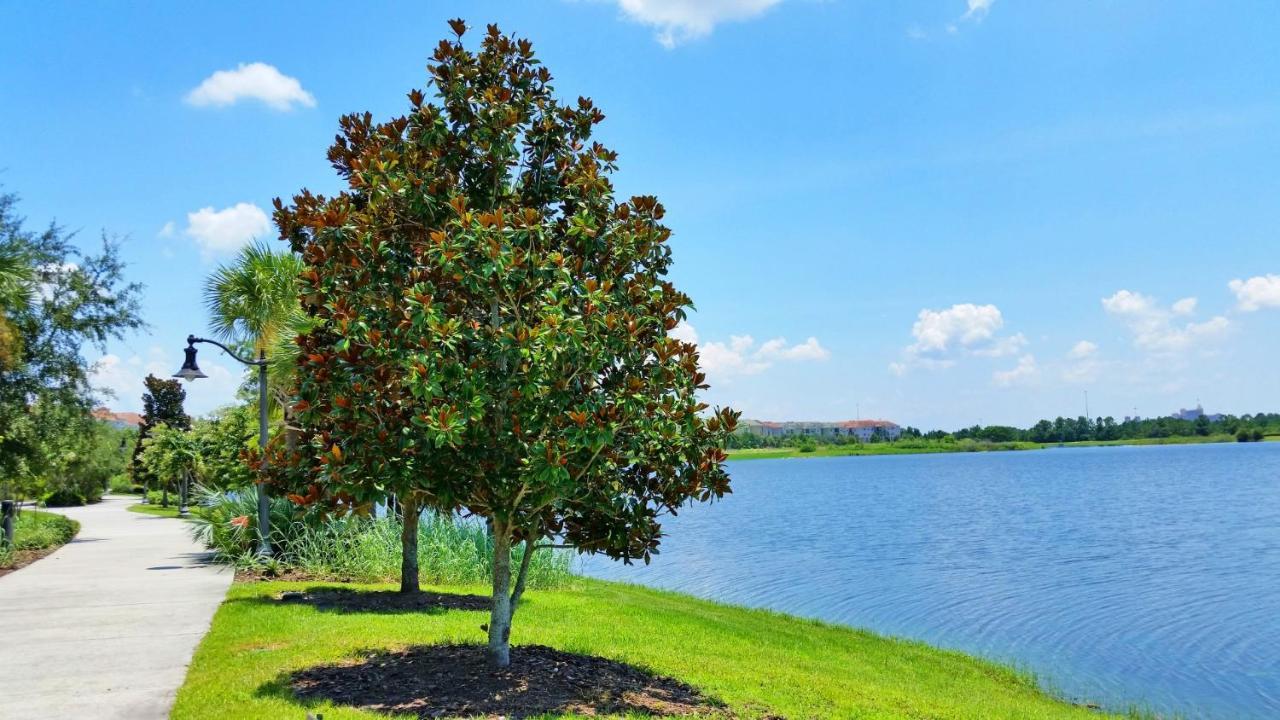 Ground-Floor Condo Next To Vista Cay Clubhouse And Pool! Orlando Ngoại thất bức ảnh
